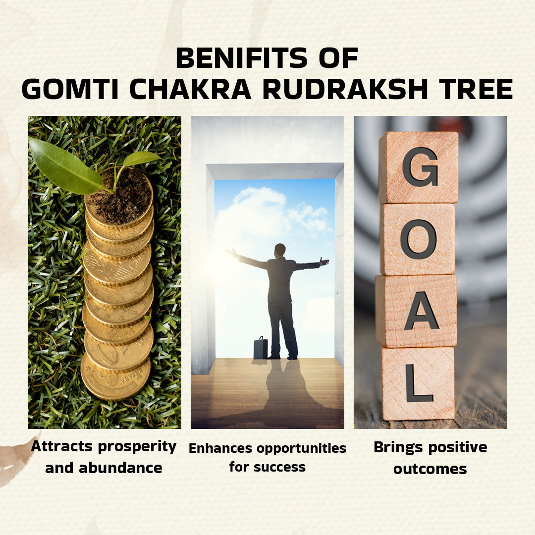Wealth, Abundance & Prosperity: Natural Gomti Chakra Crystal Tree | Home, Office, and Table Decor