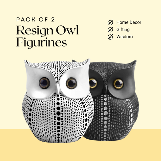 Modern Classy Lucky Owl Statues for Home Decor – Pack of 2 (Black & White)