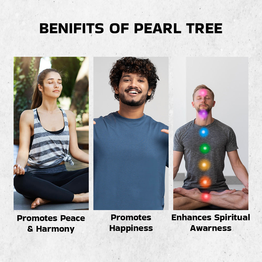 Certified Natural Pearl Tree for Inner Peace & Emotional Healing | Ideal Showpiece for Housewarming, Diwali, and Birthday Gifts